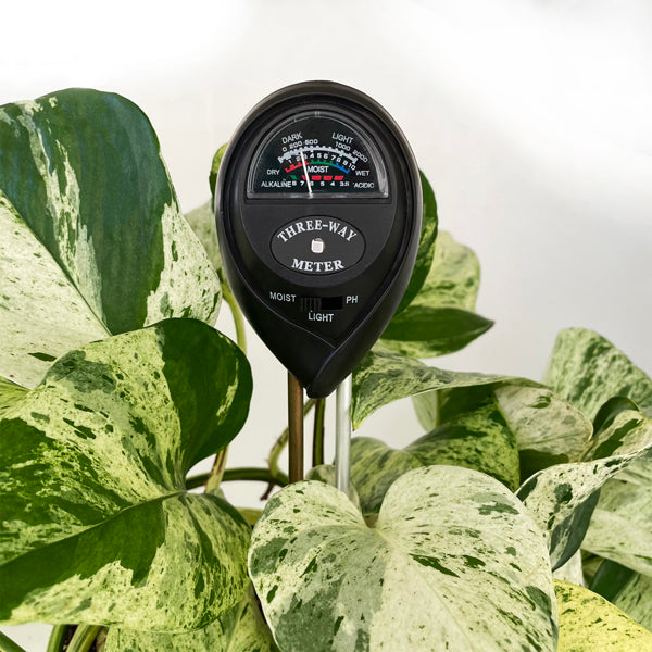 Plant Moisture Meter Plant Water Meter for House Plants Soil Test