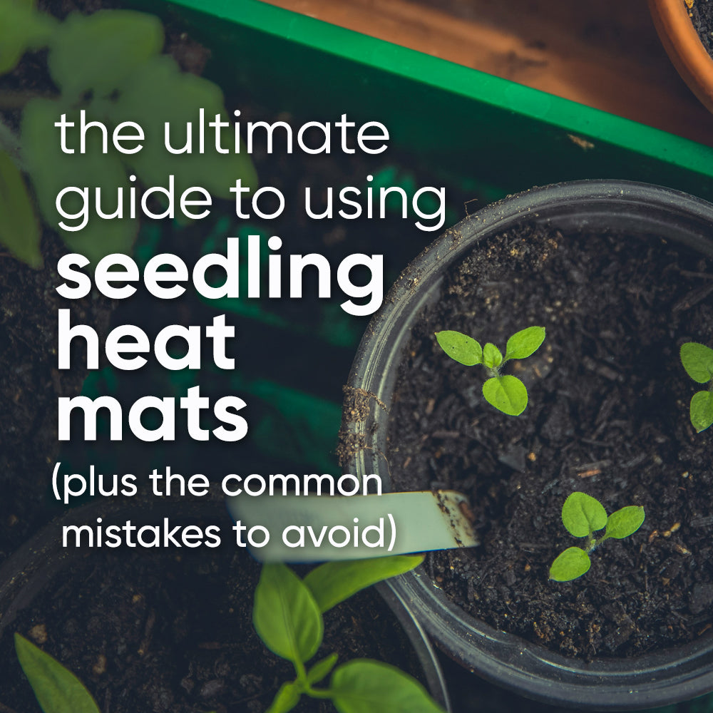 Complete Guide to Using Seedling Heat Mats (plus common mistakes to avoid)