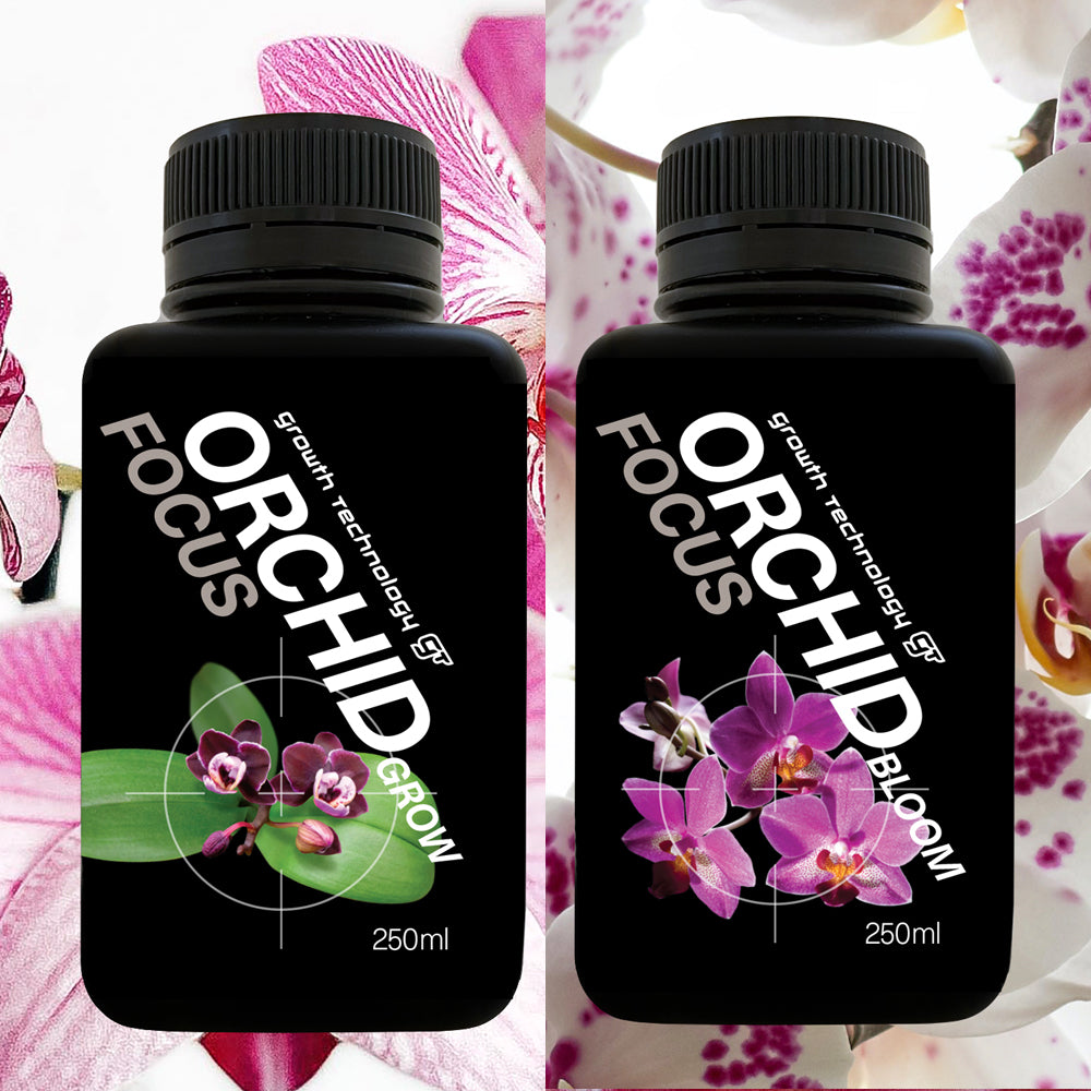 GT Orchid Care Pack