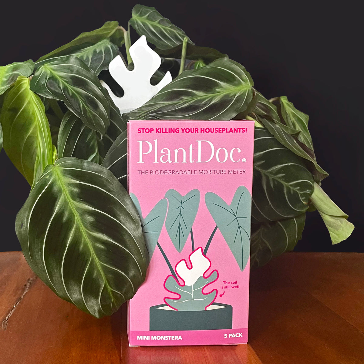 PlantDoc-colour-changing-plant-moisture-meter