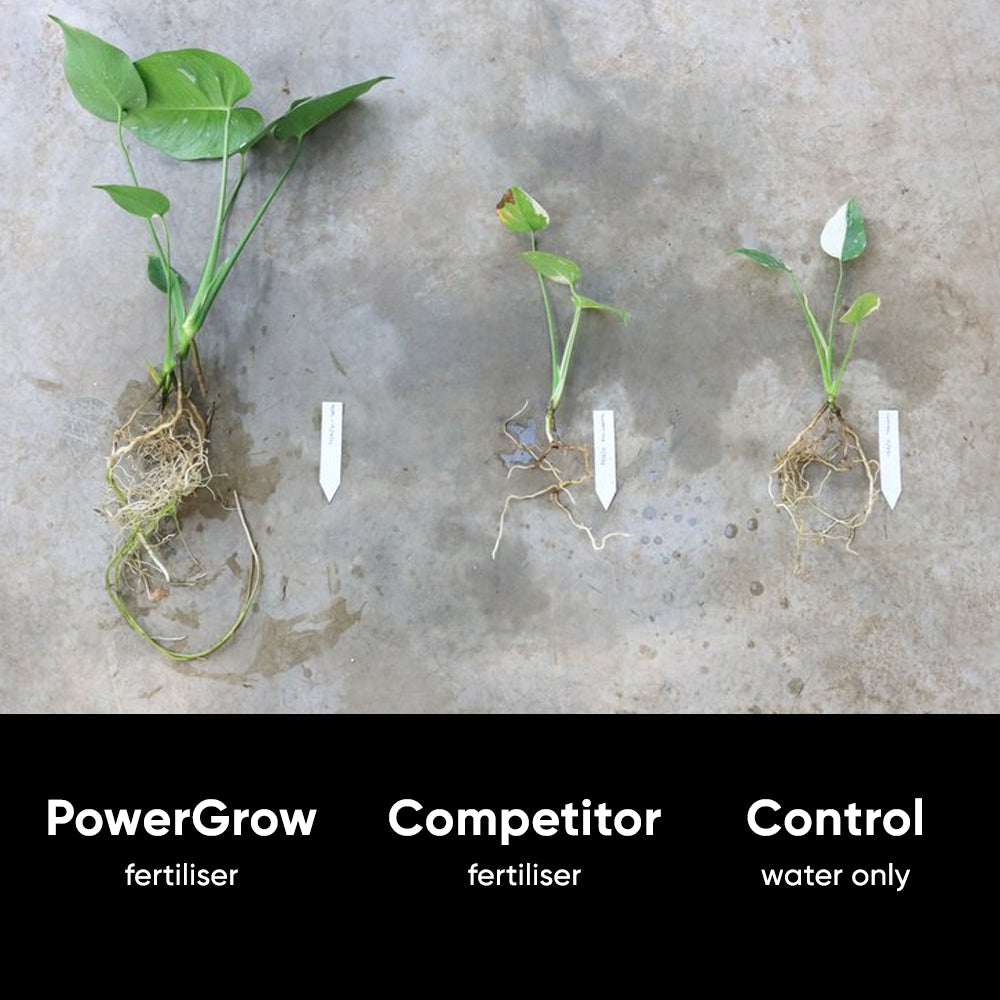 before-after-plants-fertiliser-power-grow-nurture-system-kaylee-ellen