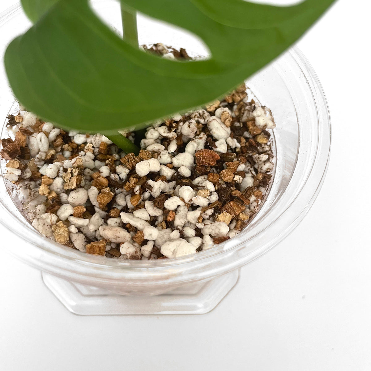 Bio Leaf Starter Mix - 5 litre