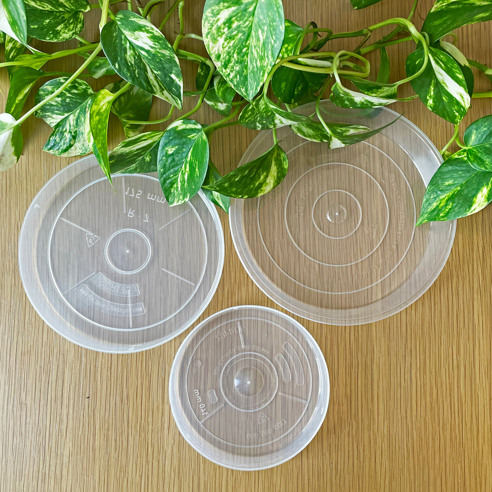 Rain Clear Saucer - Large 17.5cm - Best match 17cm to 20cm pots - From $2.10 each