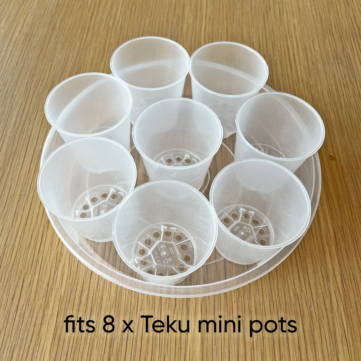 Rain Clear Saucer - Extra Large 19.5cm - Best match 20cm to 23cm pots - From $2.40 each