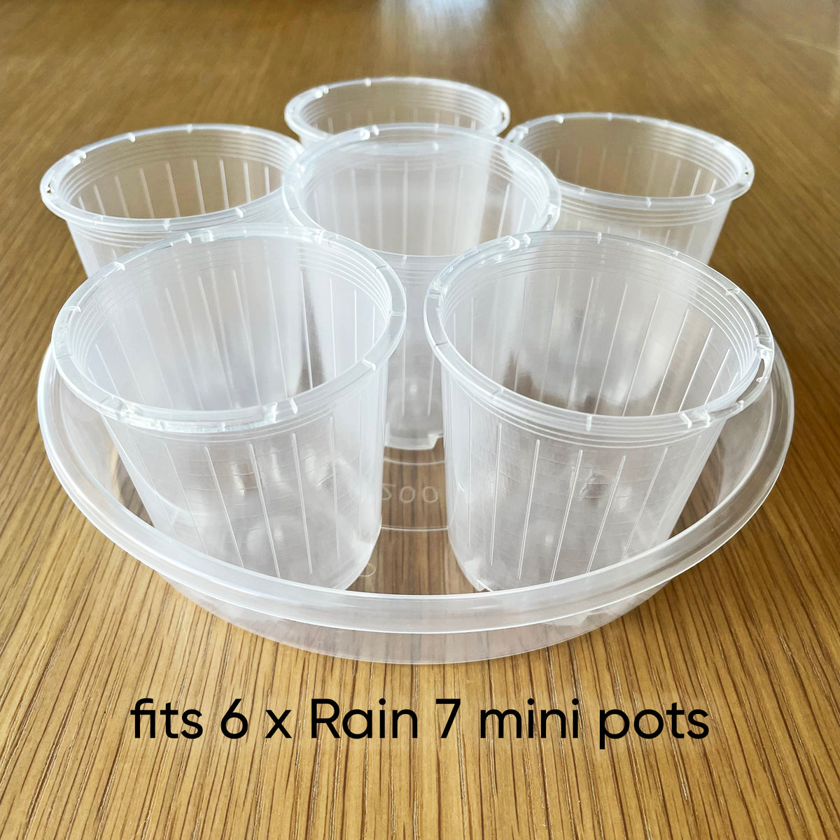 Rain Clear Saucer - Extra Large 19.5cm - Best match 20cm to 23cm pots - From $2.40 each