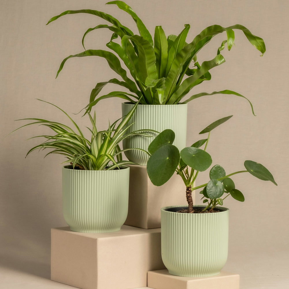 Cover Pot - Elho Vibes - 18cm Mint Sorbet