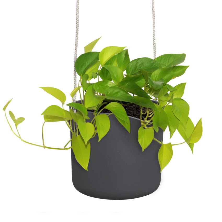 Elho Swing Stackable Hanging Pot - 100% Recycled - 18cm Charcoal