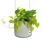 Elho Swing Stackable Hanging Pot - 100% Recycled - 18cm Sage