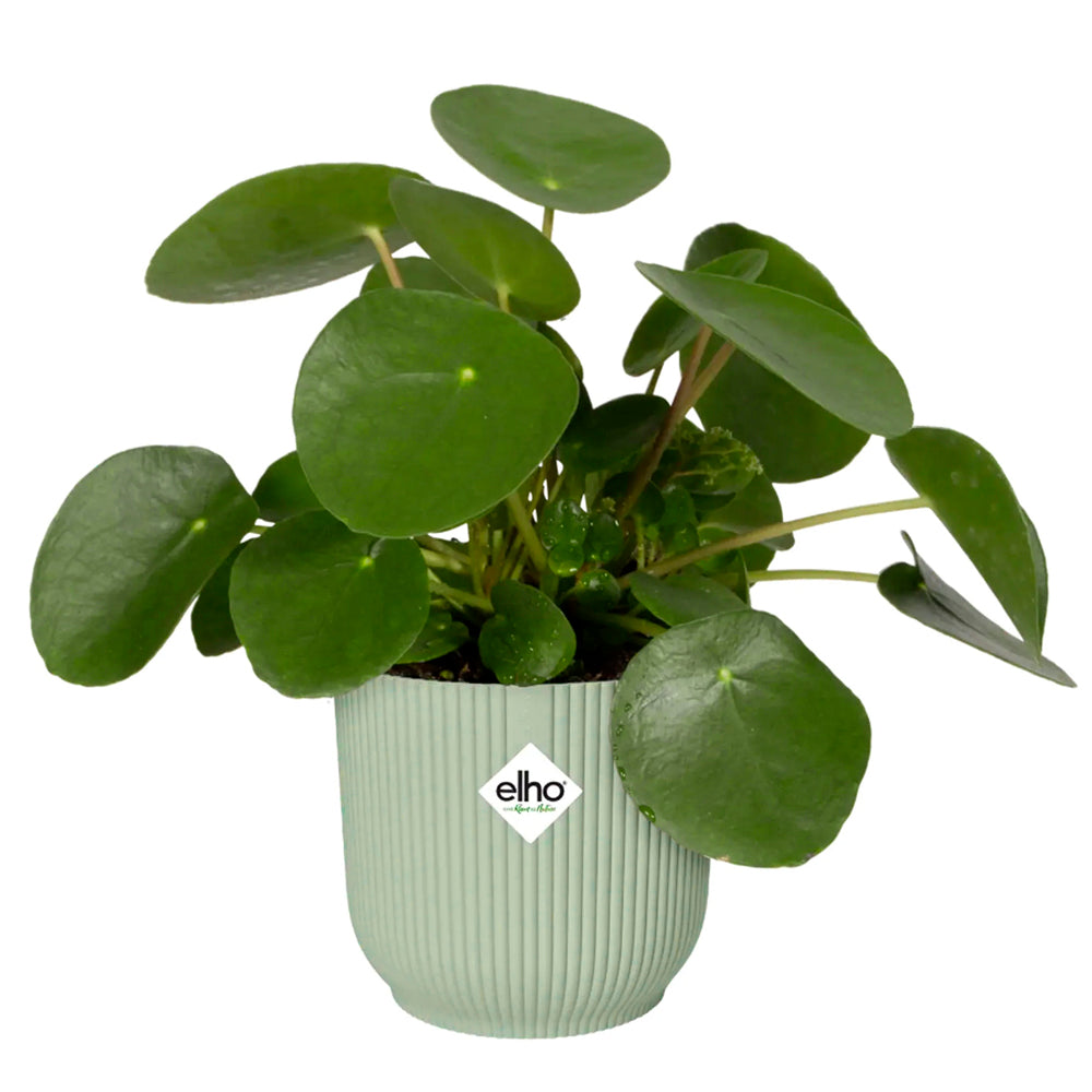 Cover Pot - Elho Vibes - 18cm Mint Sorbet