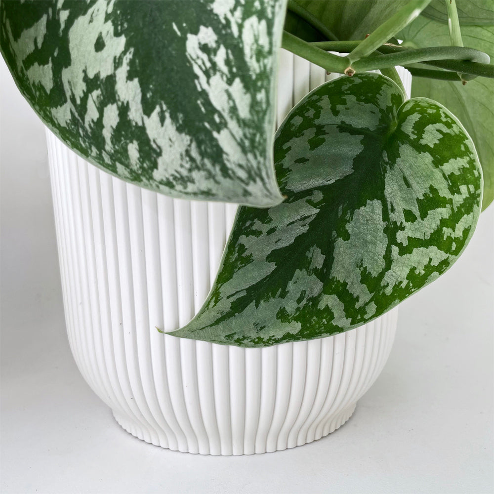 Cover Pot - Elho Vibes - 11cm Eggshell White