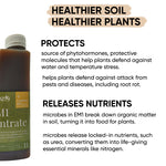 how-em1-benefits-soil-plant-health