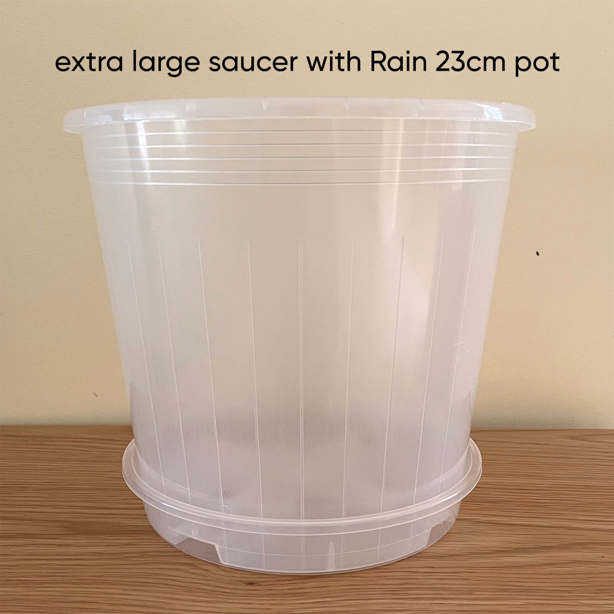 Rain Clear Saucer - Extra Large 19.5cm - Best match 20cm to 23cm pots - From $2.40 each