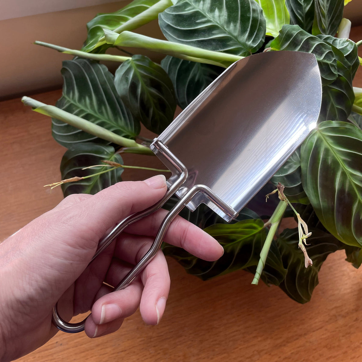 folding-mini-shovel-stainless-steel