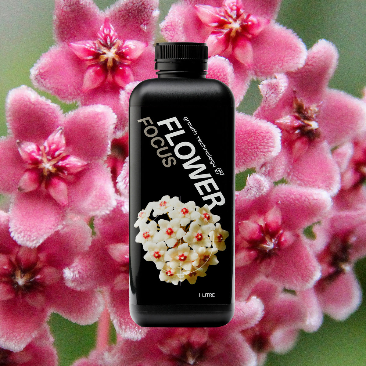 Growth Technology GT FLOWER Focus - 1 litre