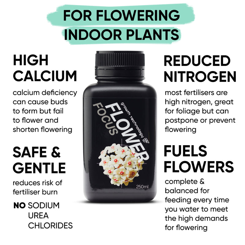 gt-flower-focus-benefits-growth-technology