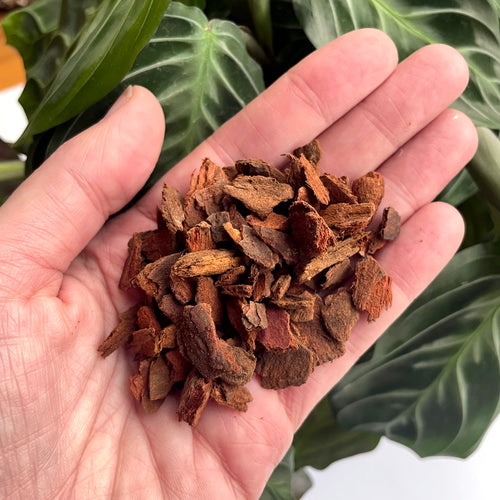 Kiwi Orchid Bark - Grade 2 - 2 litres