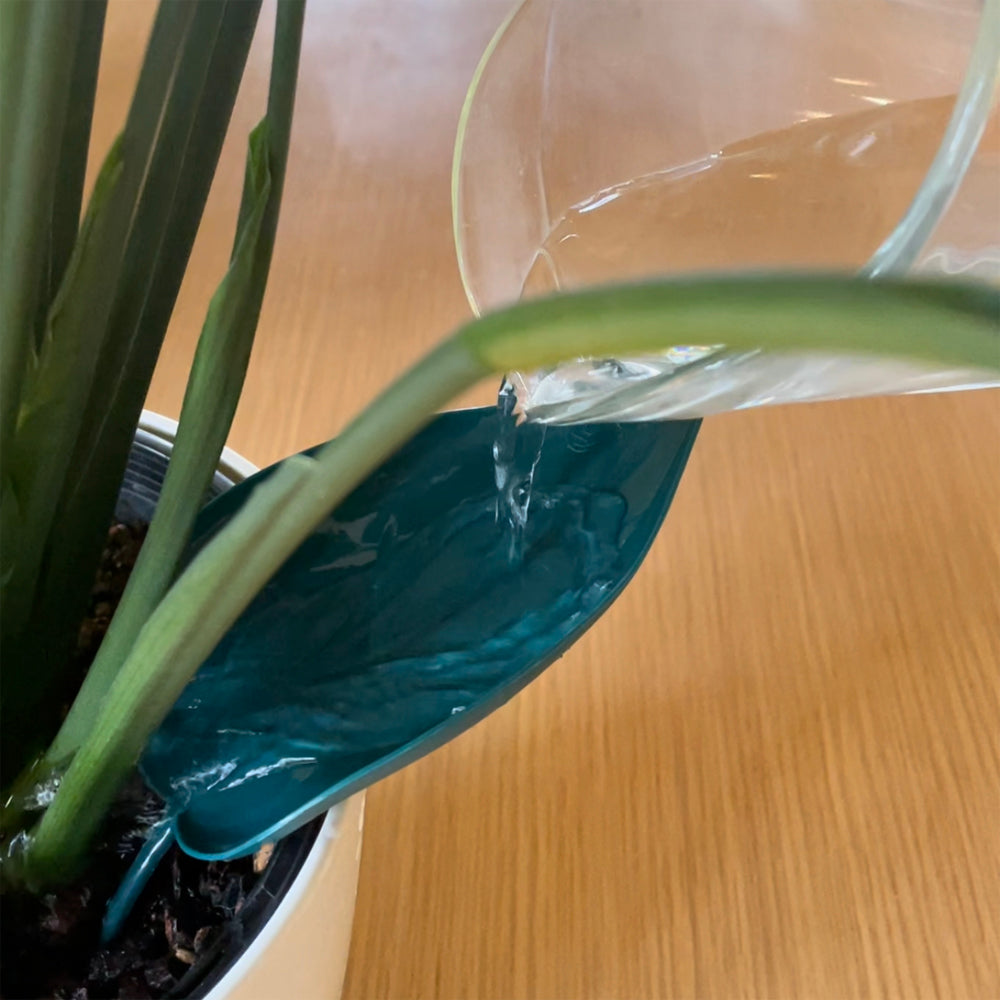 Leaf-Watering-Funnel