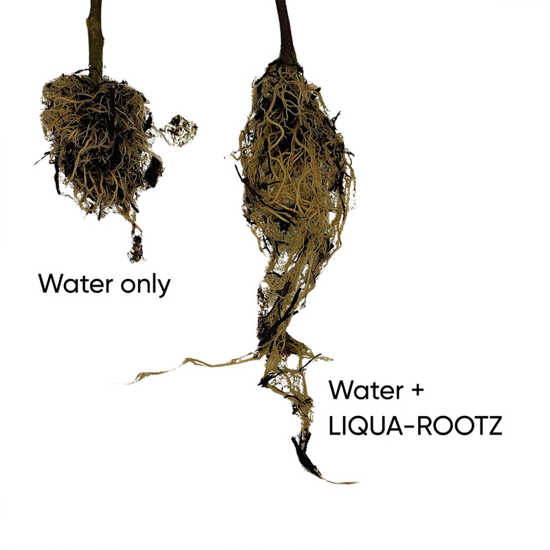 Liqua-Rootz Rooting Concentrate - 200ml (makes over 130 litres)