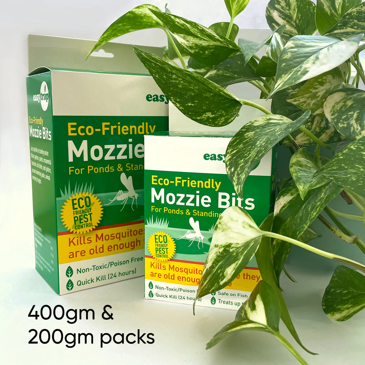 fungus-gnat-treatment-mozzie-bits