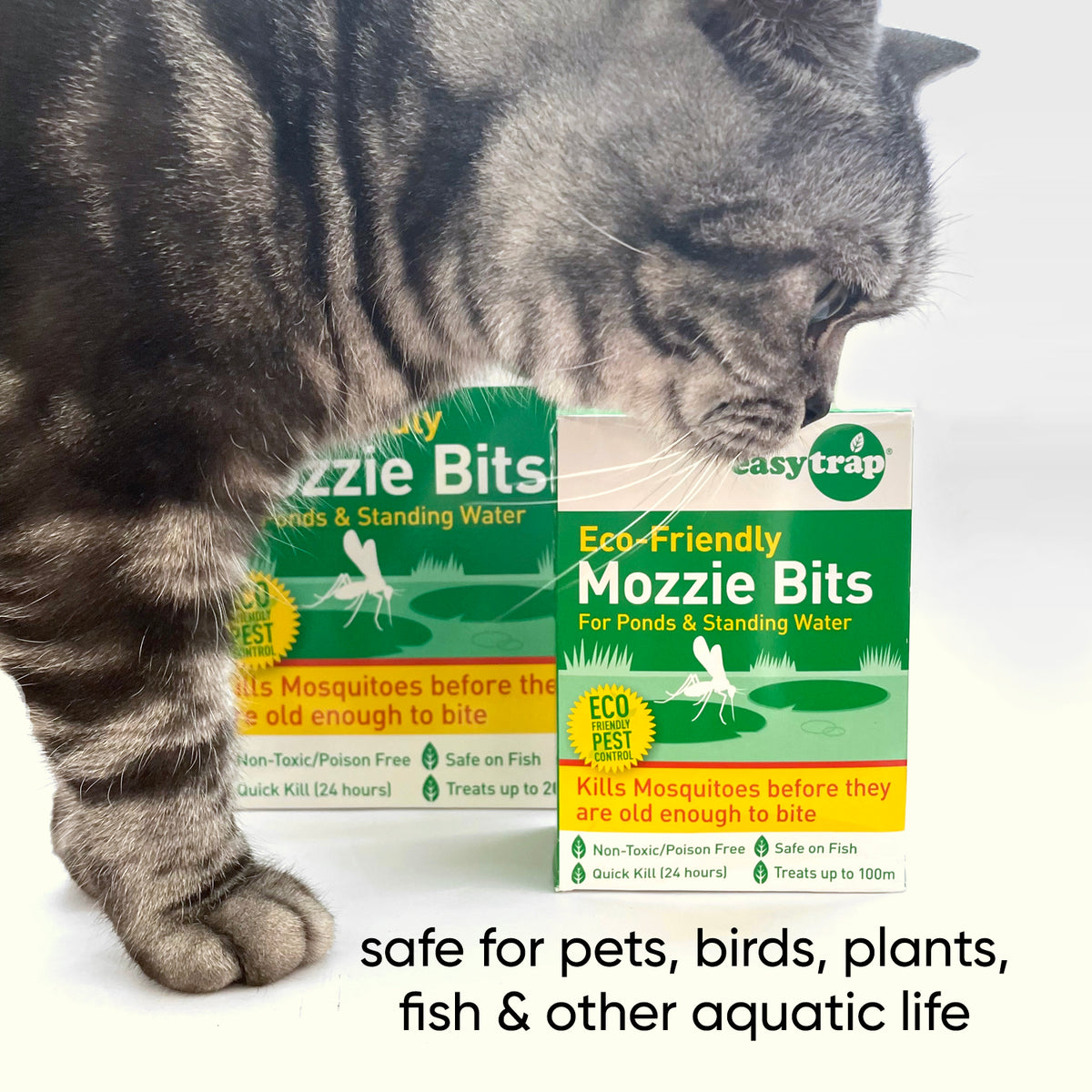 fungus-gnat-treatment-mozzie-bits