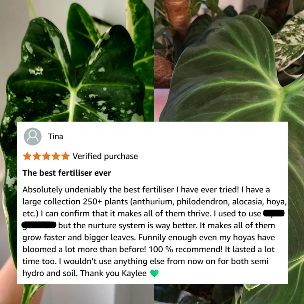 reviews-nurture-system-power-grow-kaylee-ellen