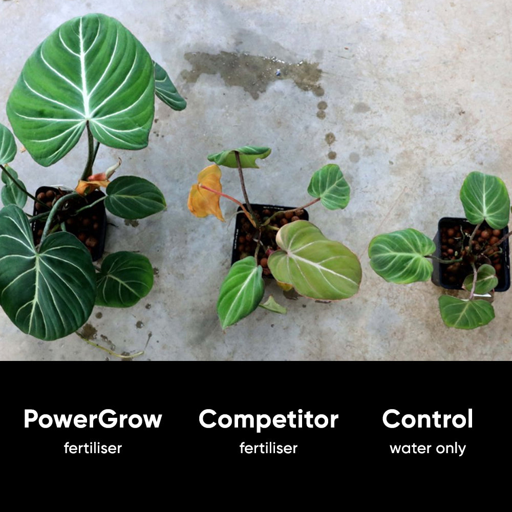 nurture-system-power-grow-tested-results