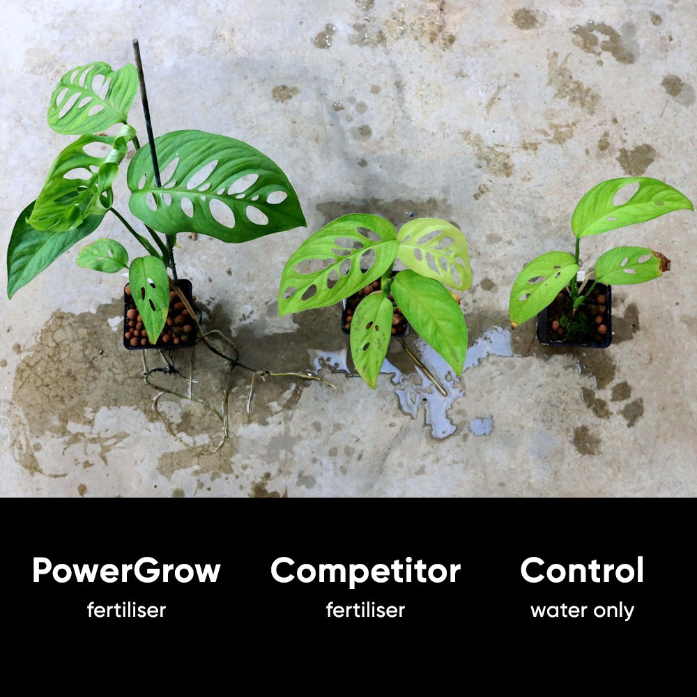 test-reviews-power-grow-nurture-systme-kaylee-ellen