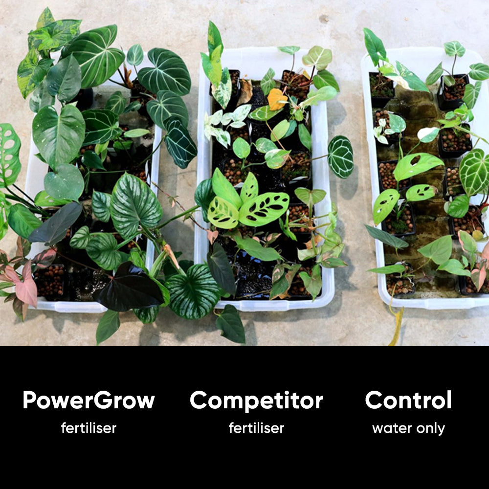 power-grow-nurture-system-test-results-plants