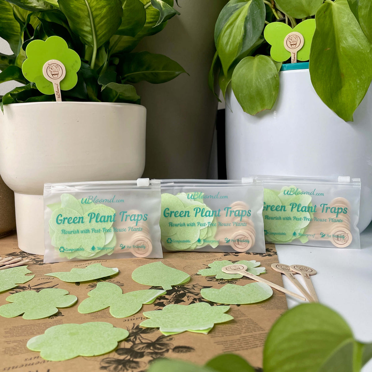 uBloomd Green Sticky Traps NATURE COLLECTION for flying pests - 10 traps / 10 sticks