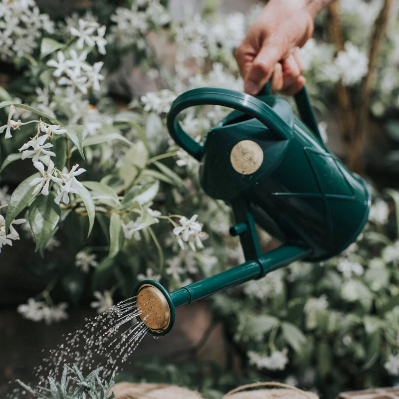 small-watering-can-green-bartley-burbler-poured-hand