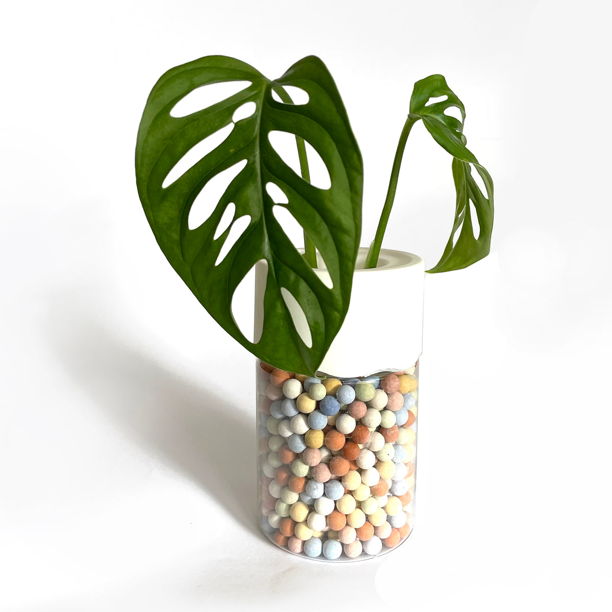 Wave Propagation Vase - WHITE