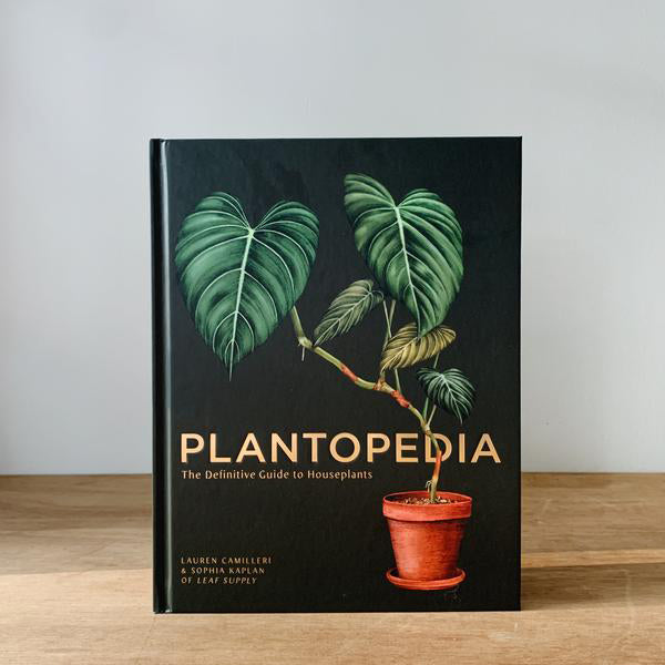 Book - Plantopedia: The Definitive Guide to Houseplants