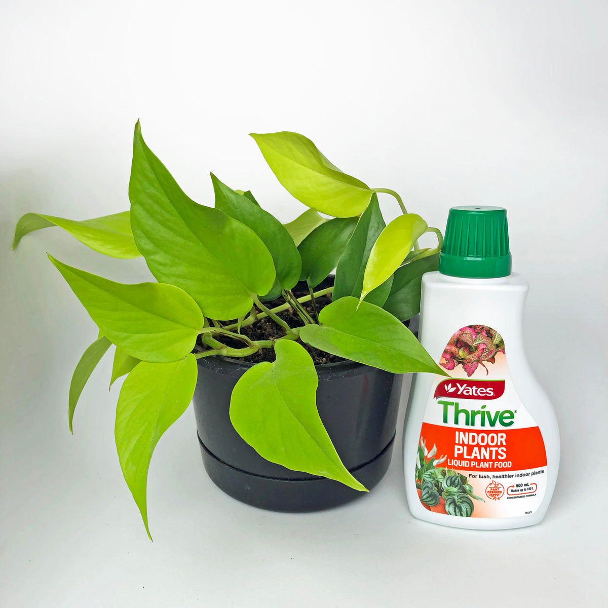 Yates Thrive Indoor Plant Food 8-9-8 - 500ml