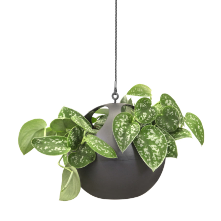 Hanging Pot - Elho B.For Soft Air - Charcoal