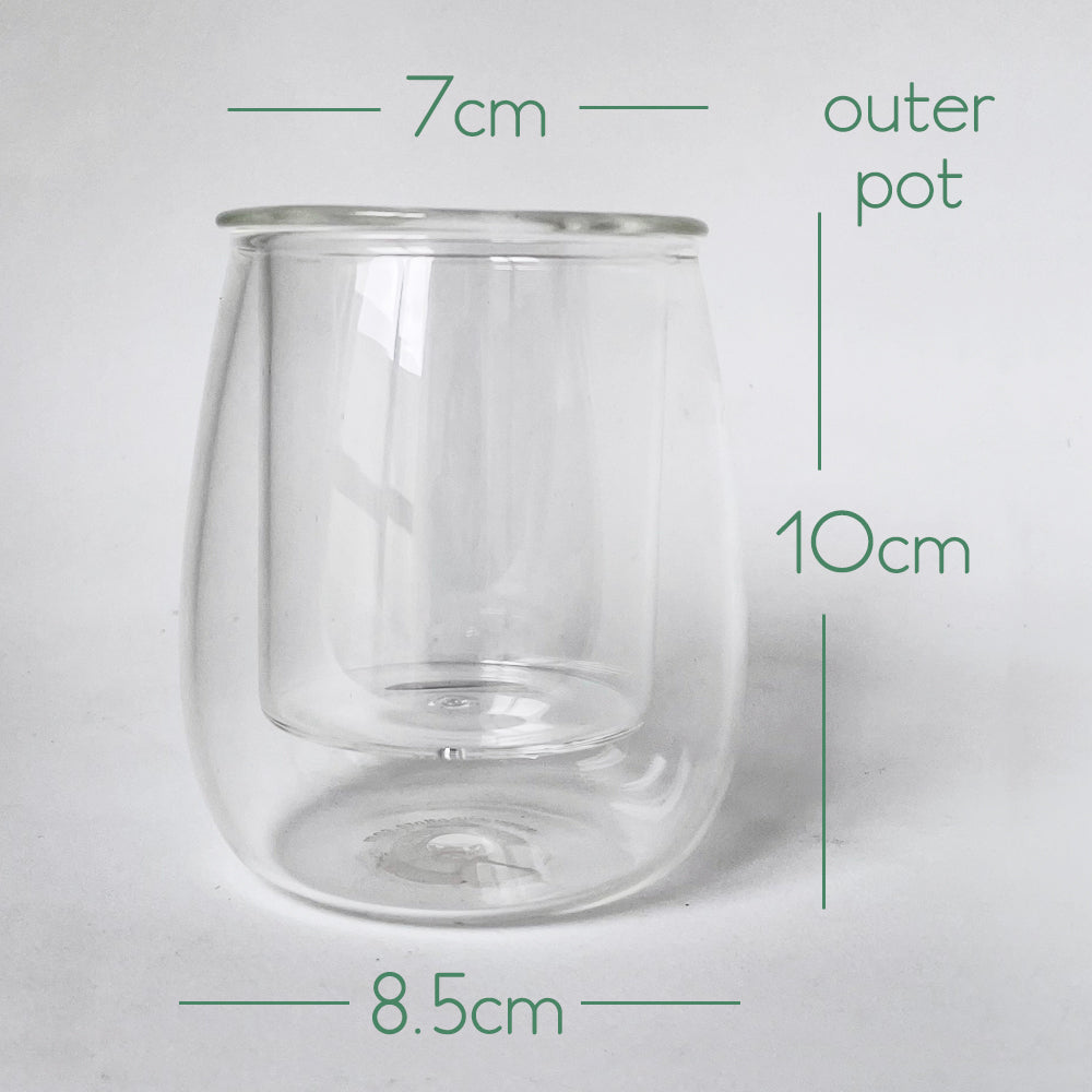 CUP O FLORA Glass Self Watering Pot - MINI