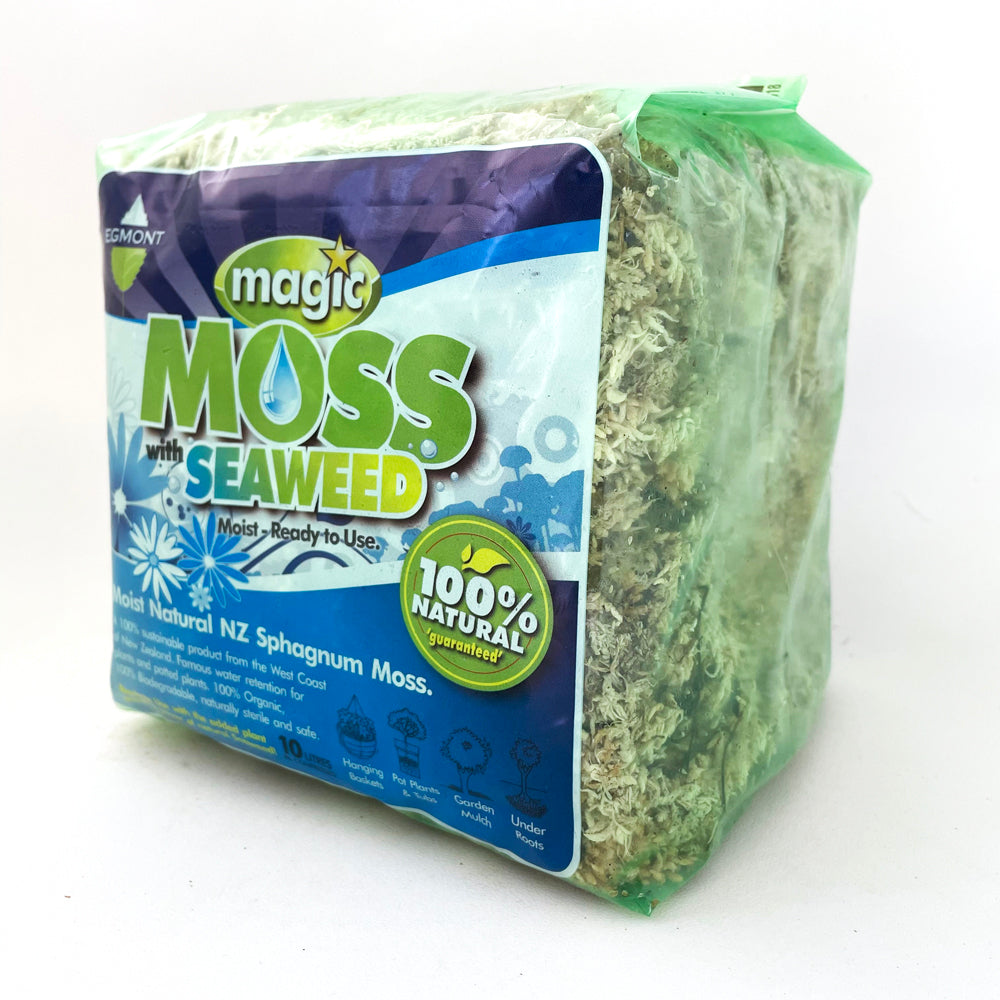 Egmont Magic Moss - Sphagnum Moss + Seaweed - Ready to Use - 10 Litres (15cm x 15cm compact cube)