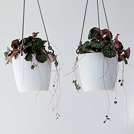 Hanging Pot - Elho Brussels - 18cm White