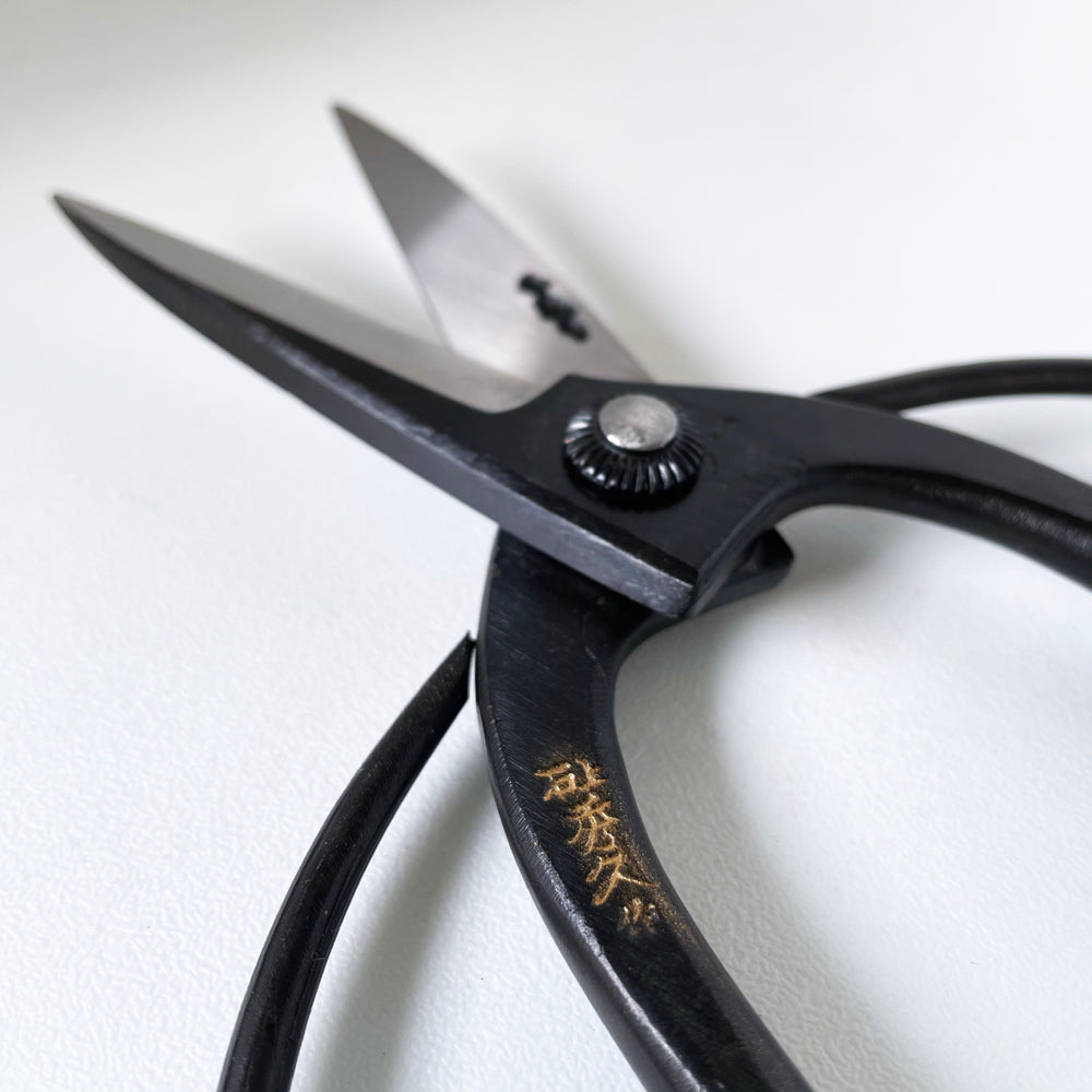 Hidehisa Indoor Plant Shears - Large - Black