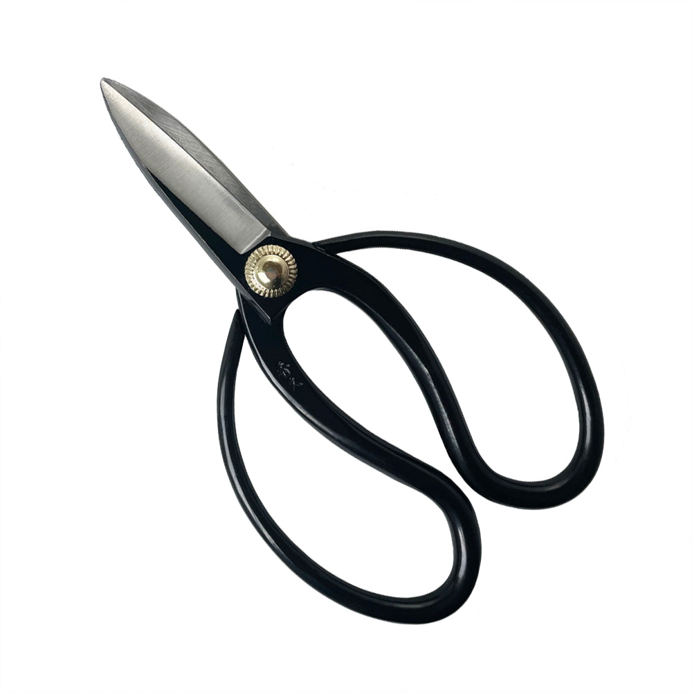 Hidehisa Black Indoor Plant Shears