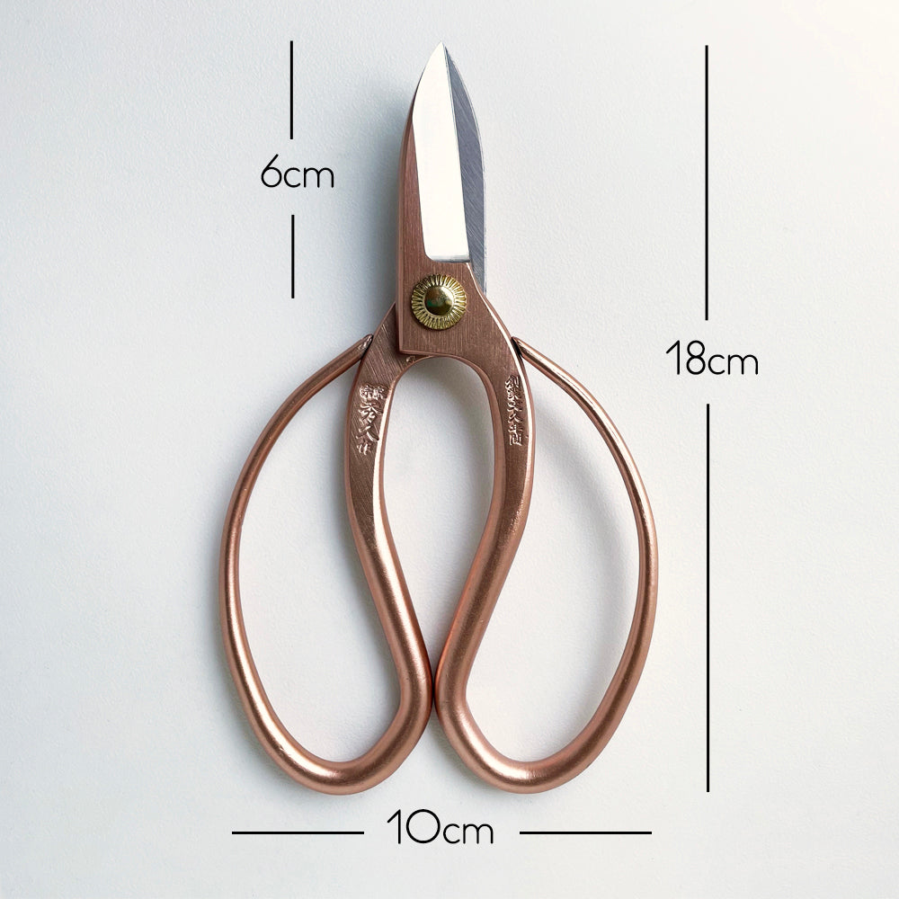 Hidehisa Indoor Plant Shears - Medium - Rose Gold