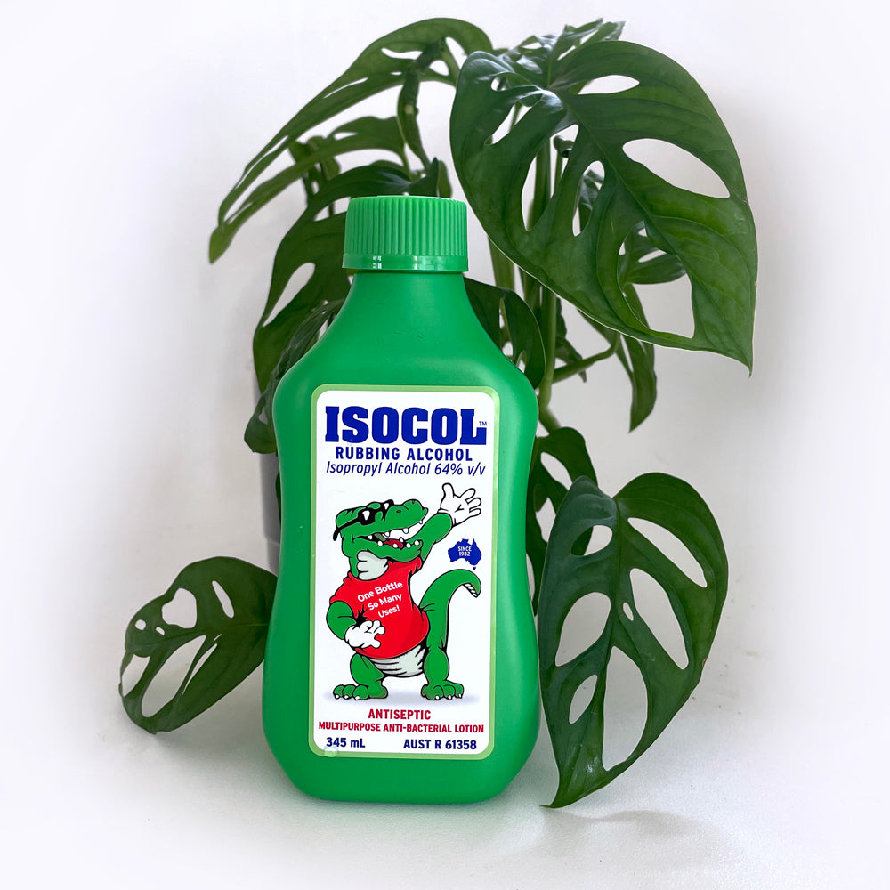 Isocol Rubbing Alcohol for Mealybugs, Aphids, Spider Mites & Scale