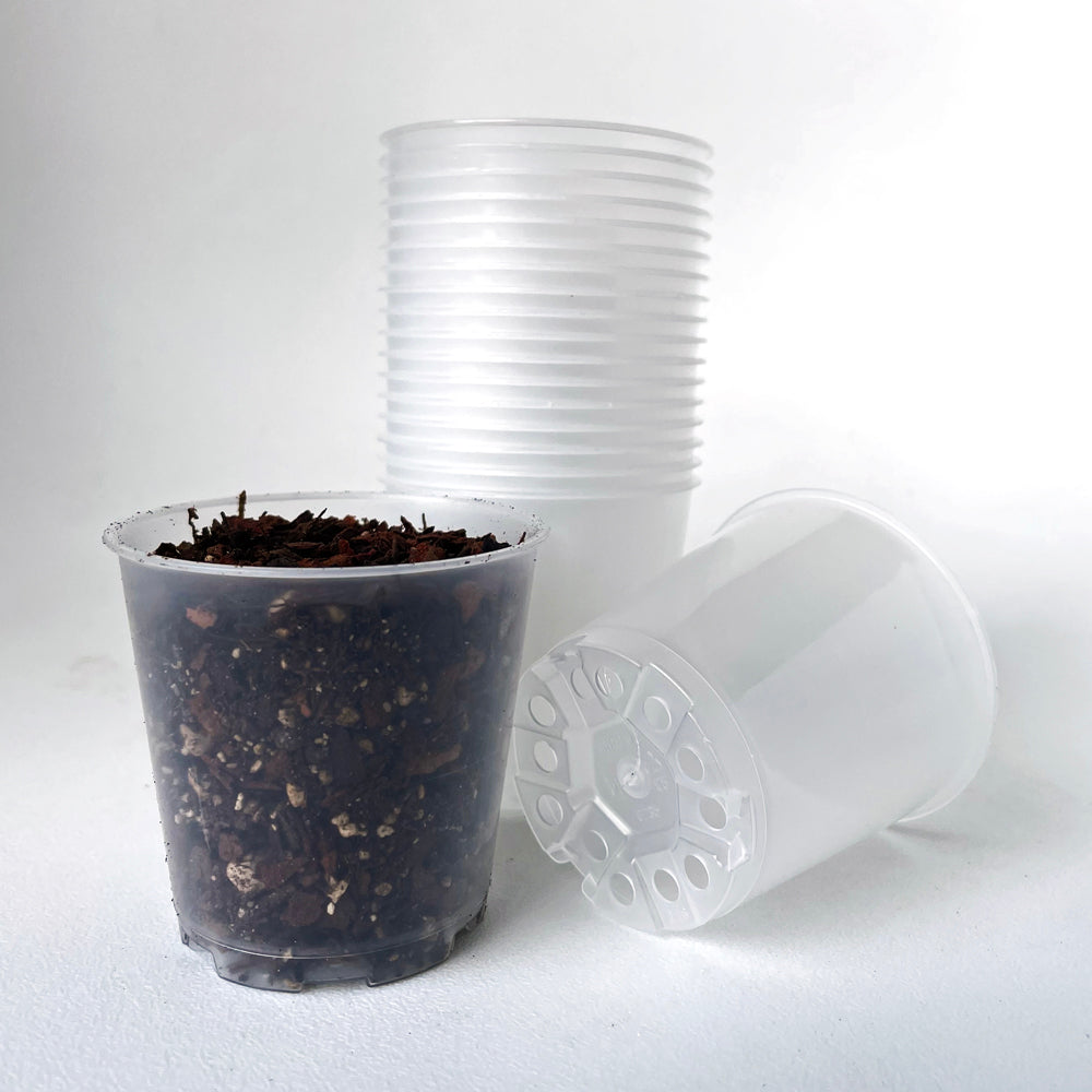 TEKU MINI Clear Nursery Pot - 5.5cm x 5.5cm