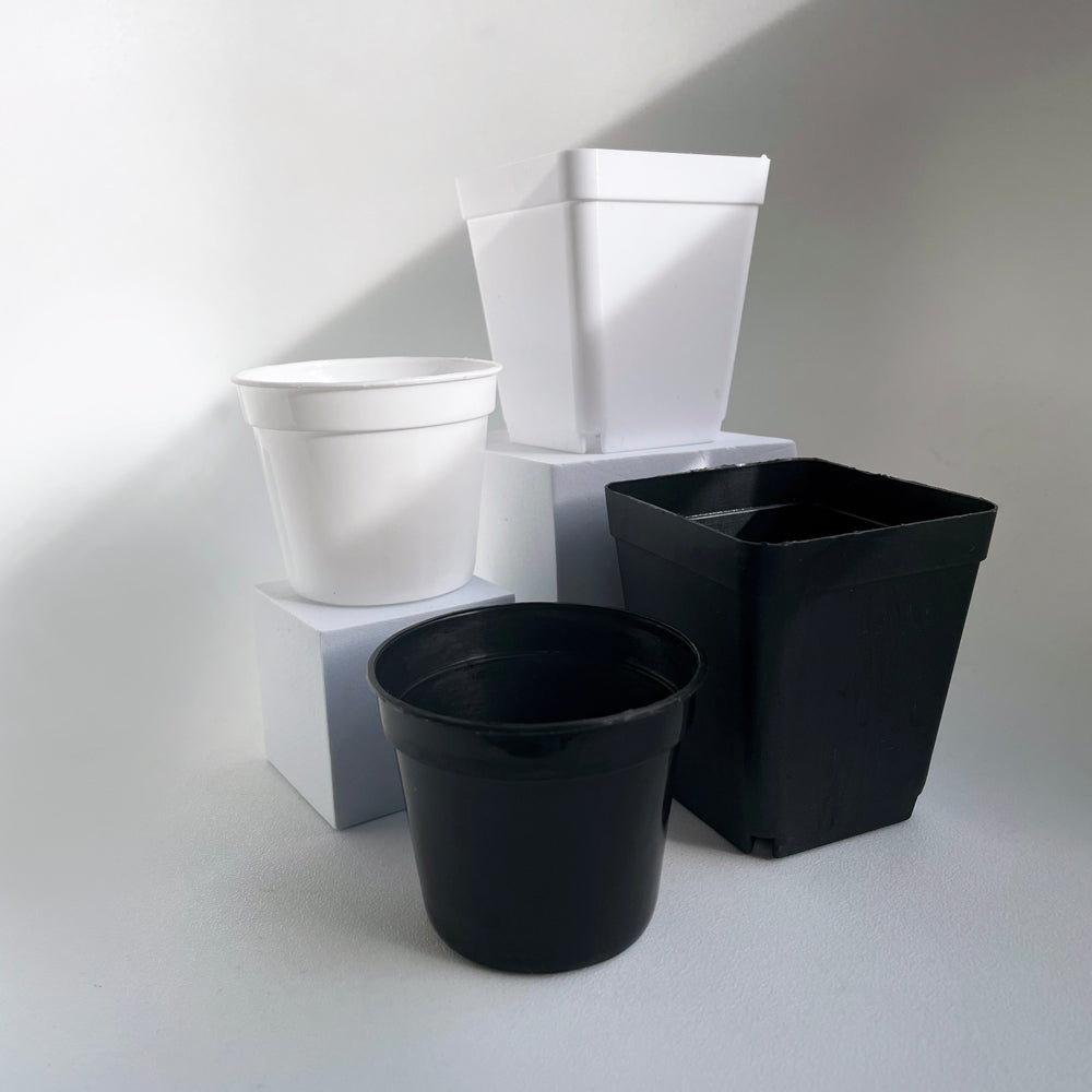 Crew Mini Pot Square - 7.5cm x 6.5cm - BLACK