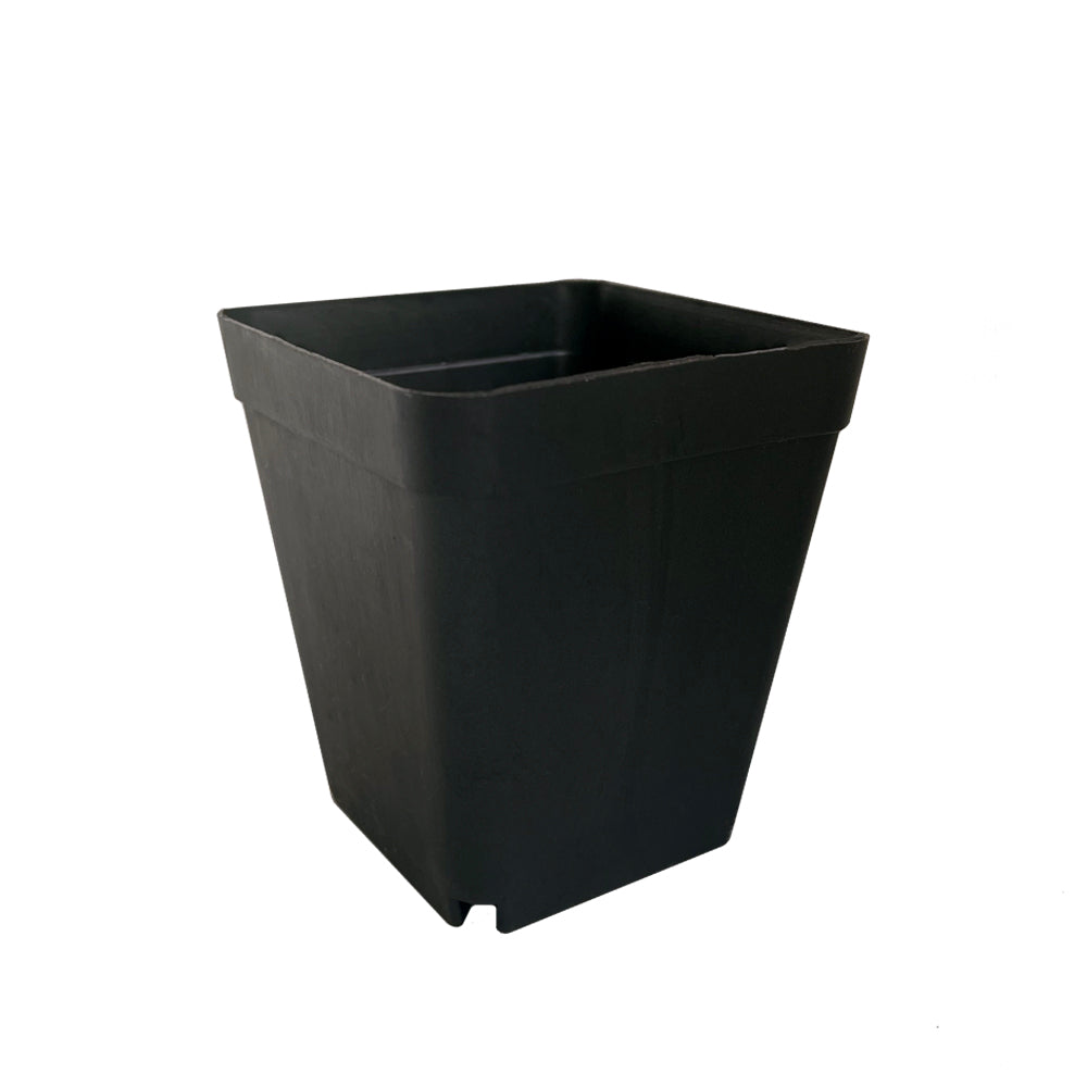 Crew Mini Pot Square - 7.5cm x 6.5cm - BLACK