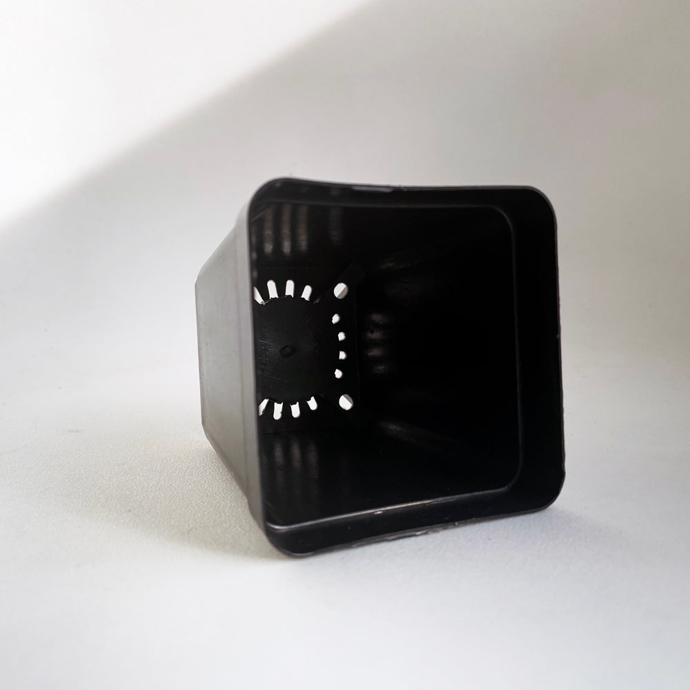 Crew Mini Pot Square - 7.5cm x 6.5cm - BLACK