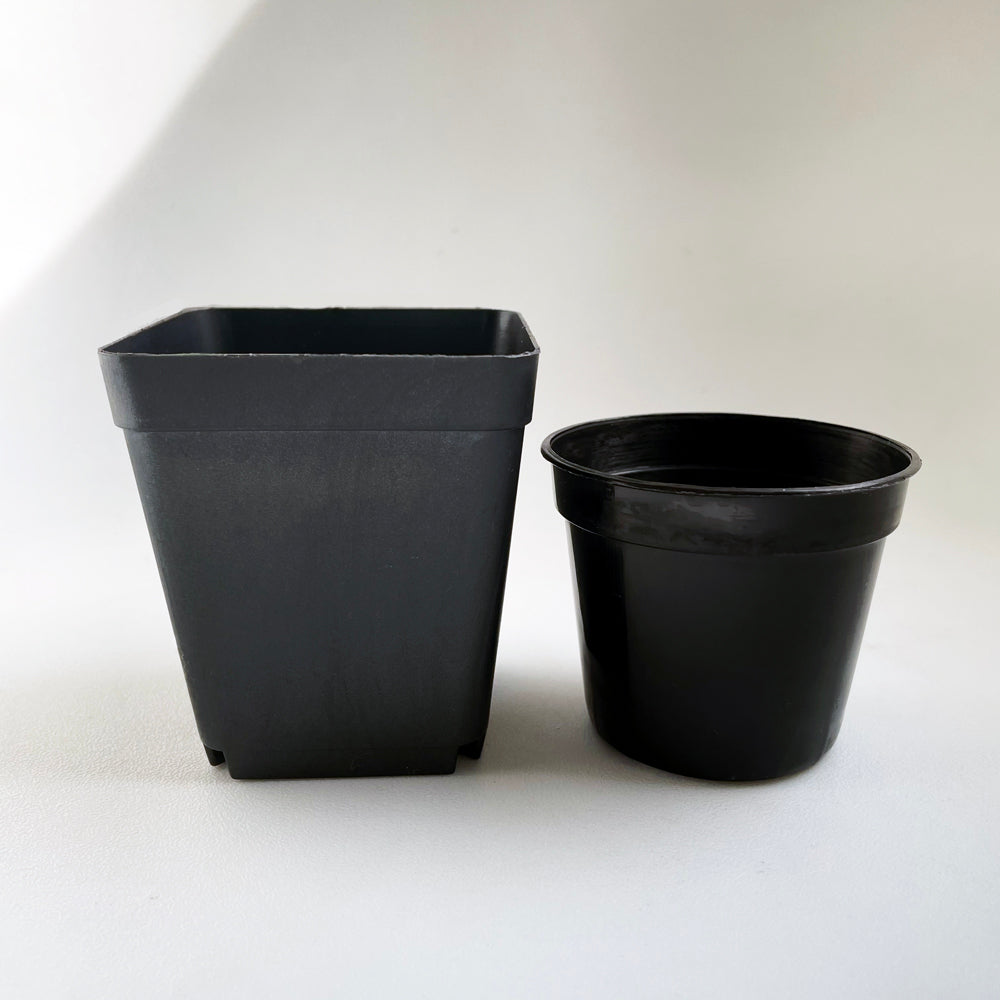 Crew Mini Pot Square - 7.5cm x 6.5cm - BLACK