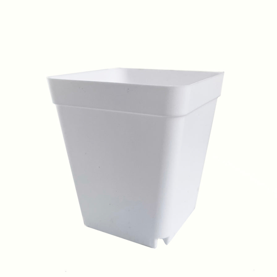 Crew Mini Pot Square - 7.5cm x 6.5cm - WHITE