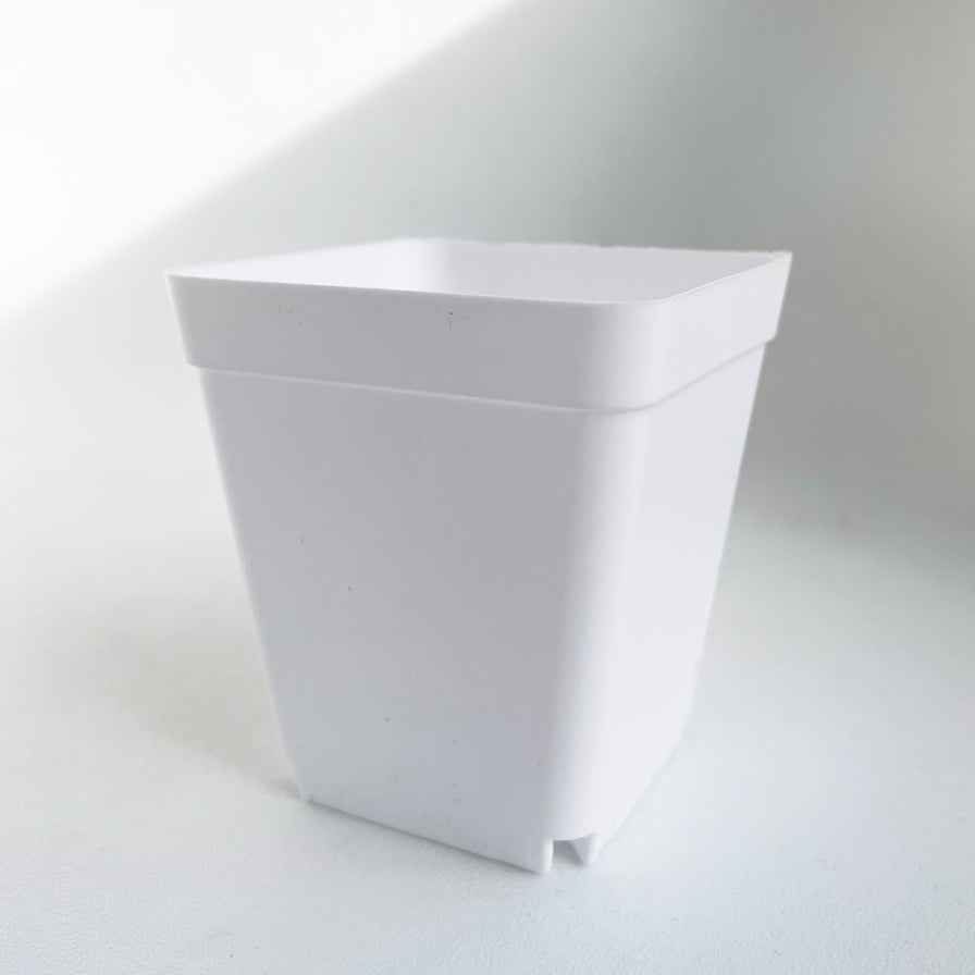 Crew Mini Pot Square - 7.5cm x 6.5cm - WHITE