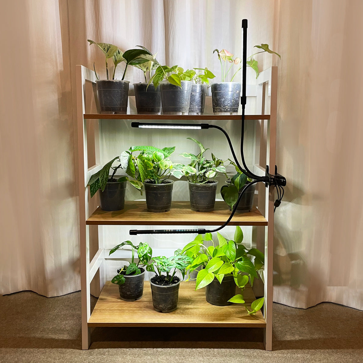 clip-on-plant-shelf-grow-lights-houseplants