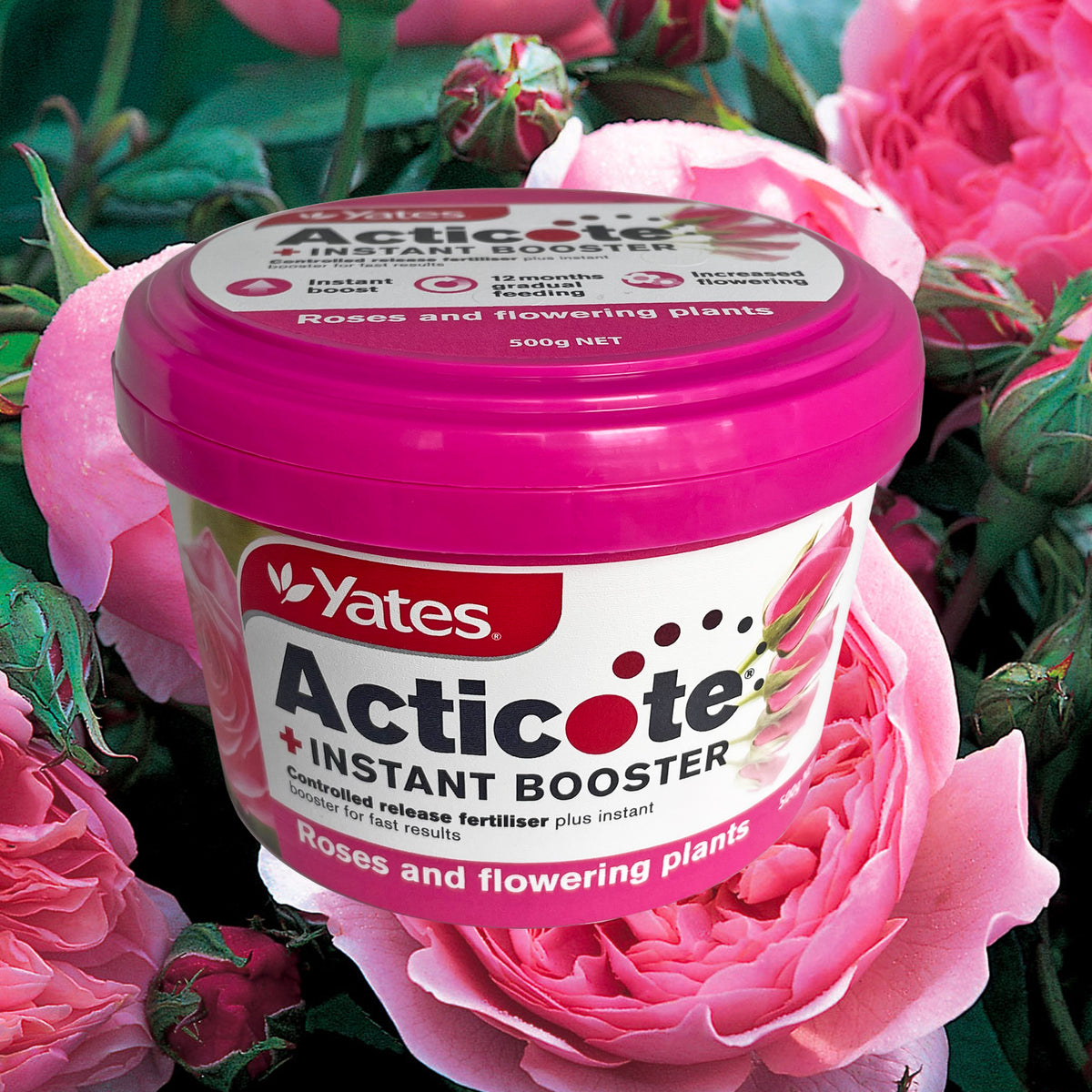 Yates Acticote + Instant Booster Fertiliser - Roses and Flowering Plants - 500g